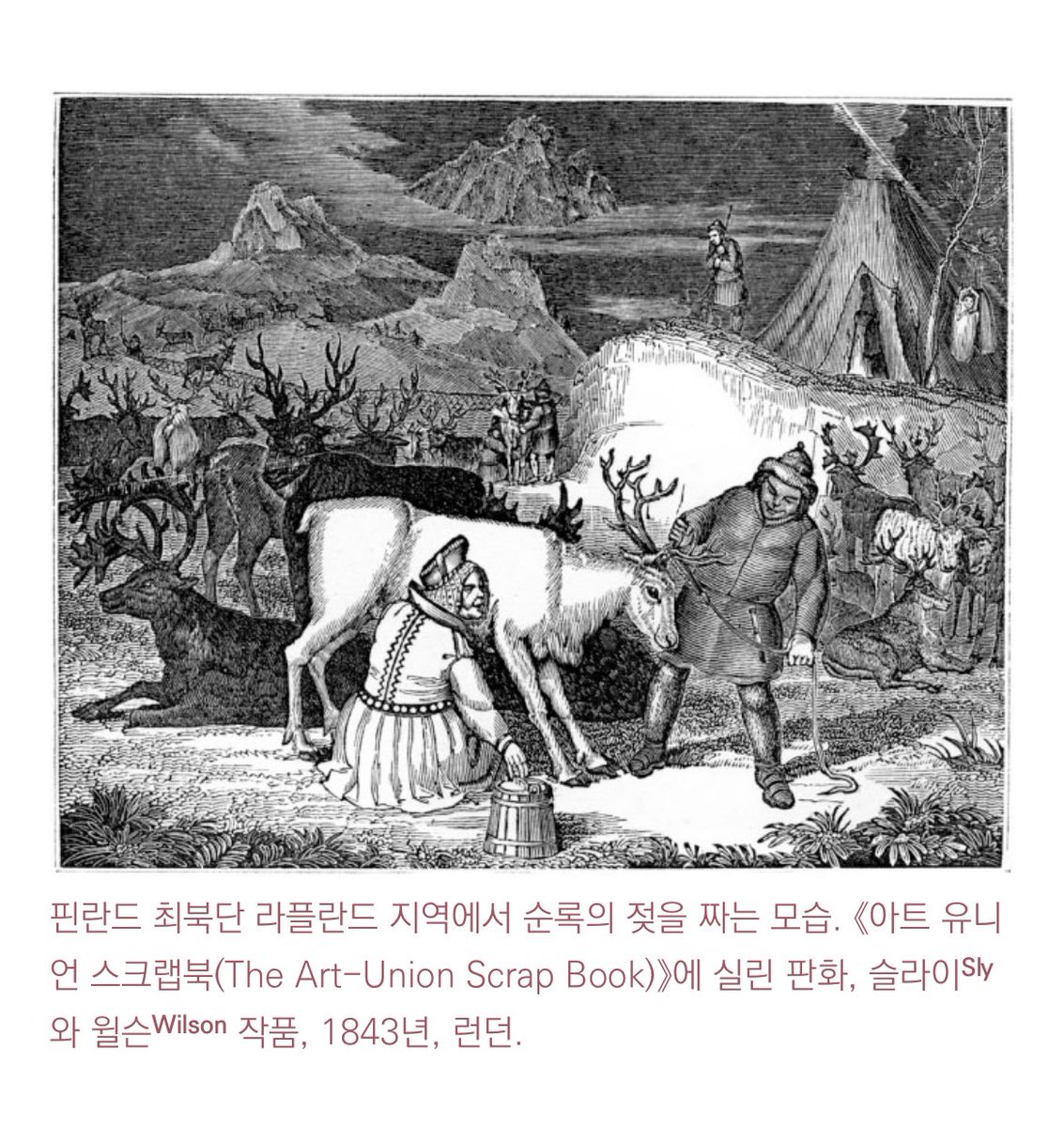 순록우유 뭔맛일까 