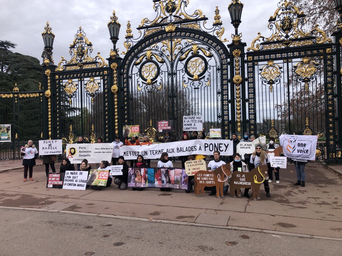 paz_zoopolis's tweet photo. 📣Mobilisation devant le parc de la Tête d’or pour demander au Maire de #Lyon ⁦@Gregorydoucet⁩ de mettre un terme aux #BaladesAPoney.

🐴Les poneys ne sont pas des attractions ! Apprenons aux enfants à être bienveillant avec les animaux.💟 https://t.co/nHZ4pX3pHk
