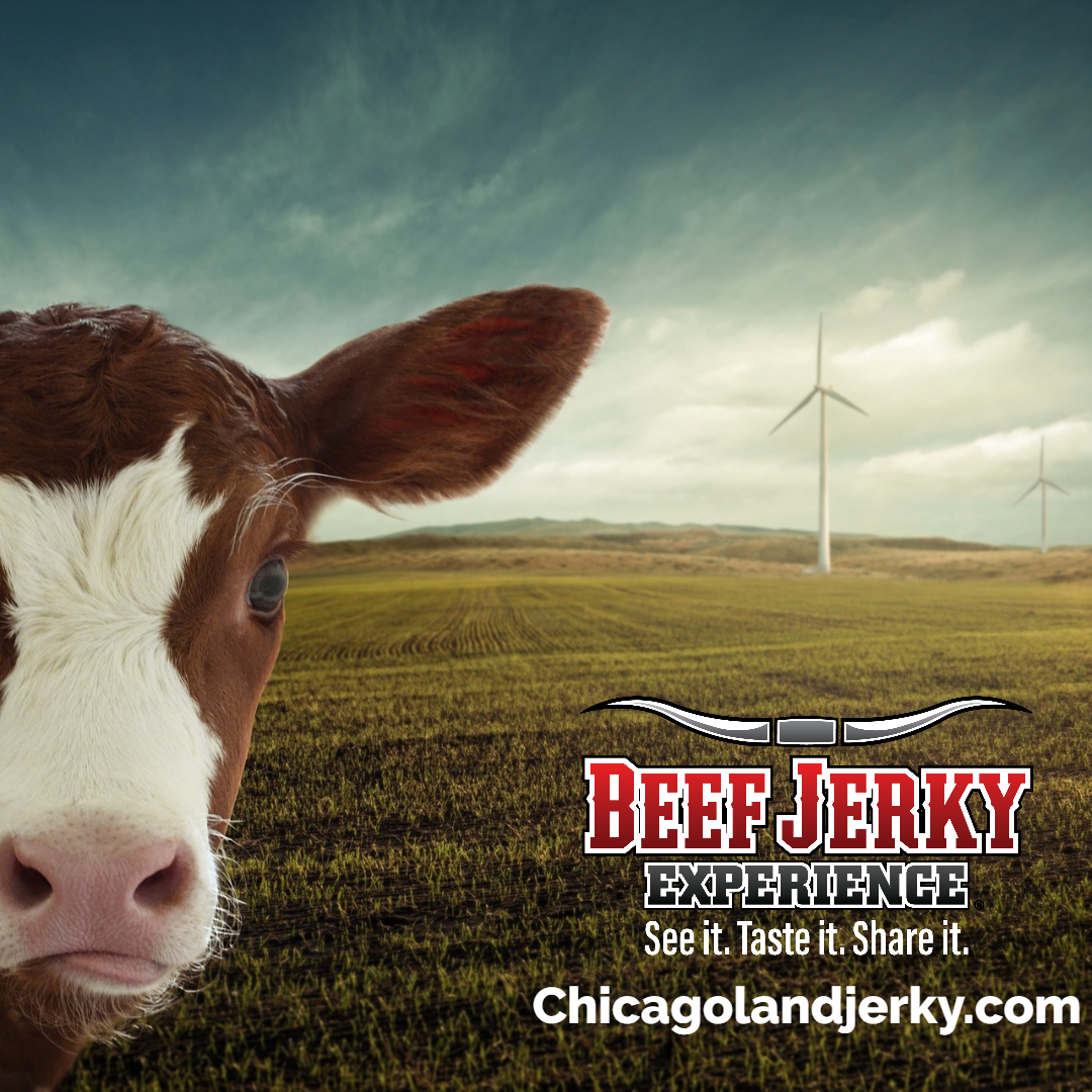 chicagojerky's tweet photo. Did you know we donate a portion of our online sales to help offset emissions from shipping? Well, you helped remove 1 ton of CO2 with online orders this year! Way to go! It's the small things that add up to make a difference.  #helpmotherearth #breatheasier #michigancity #nwi https://t.co/9X7T5QYoc5
