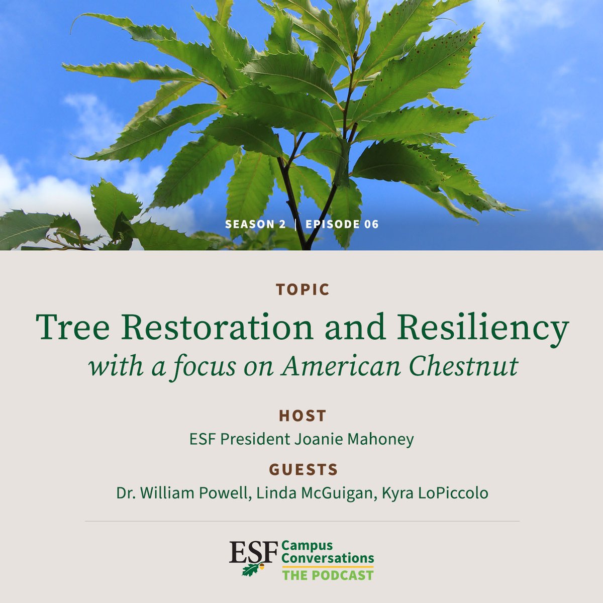 Why is restoring the American chestnut tree a good thing? Here is 42 minutes and 6 seconds of <a href="/ChestnutPowell/">William Powell</a>, <a href="/sunyesfpres/">Joanie Mahoney</a>, and others talking about why. Remember to make your public comment before the  1/26 deadline. esf.edu/campusconversa…