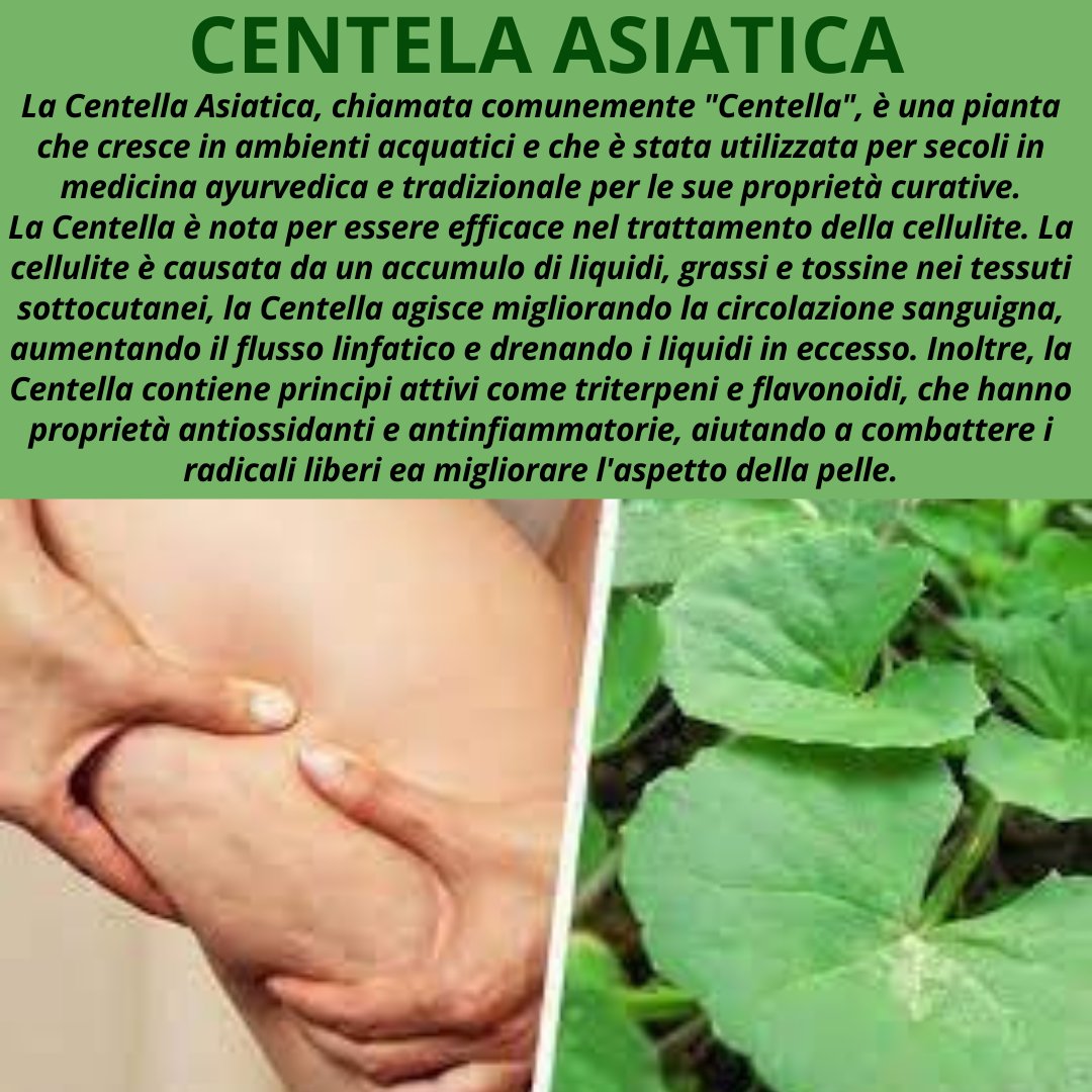 immuno_strong's tweet photo. Conosci i benefici della #centella?
La natura offre tutto quello di cui l'essere umano ha bisogno.
Molti farmaci da prescrizione sono in realtà riproduzioni di sintesi in laboratorio, di molecole vegetali già biologicamente attive, ma sulle quali non si può apporre brevetto 🤫 https://t.co/Ee7ciHai4y