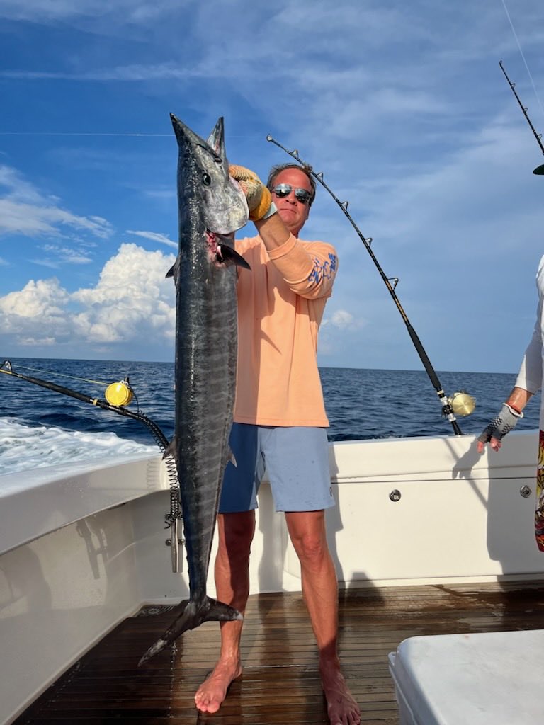 Lane Kiffin tweet media