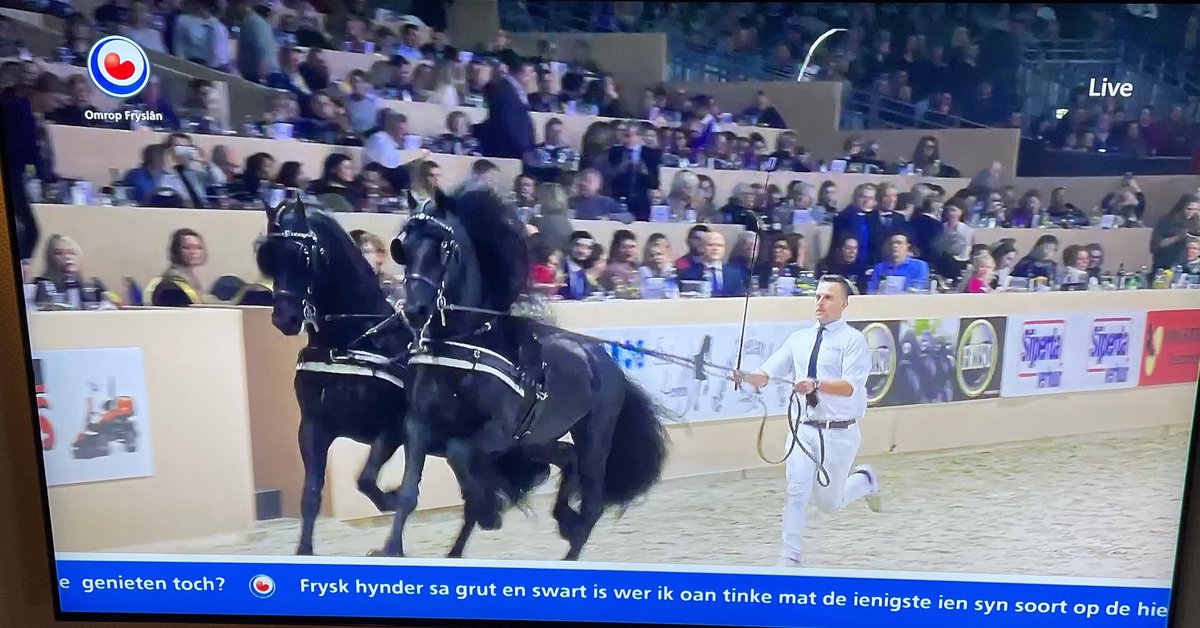 doekefokkemacda's tweet photo. Wat wer in knappe en boeiende live útstjoering fan @OmropFryslân fan #Hynstekeuring @RoyalFriesian @provfryslan #krektwaarderfoar https://t.co/CGgxC7oK6s