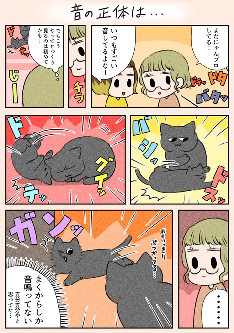 昨日確認ミスで投稿できていませんでした…😭
なので今日は2本続けて投稿します…!

「音の正体は…」
倒れ癖があるまくは勝てないみたいです(笑)

#漫画が読めるハッシュタグ
#日常
#猫 