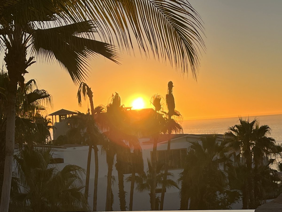 Frances Weller| News Anchor| Managing Editor tweet media