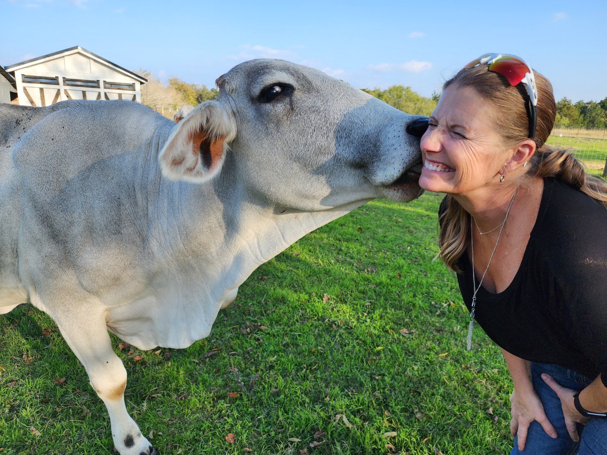 TheBeGoodrich's tweet photo. On a happy note, my daughter and I chased our dreams when Covid hit. We've spent the last two years renovating a beautiful property in Southeast Texas! Check it out https://t.co/iVqQGh81Vc #covidcowgirls #veteranownedranch #Womanowned https://t.co/2vf1W4X2Tm