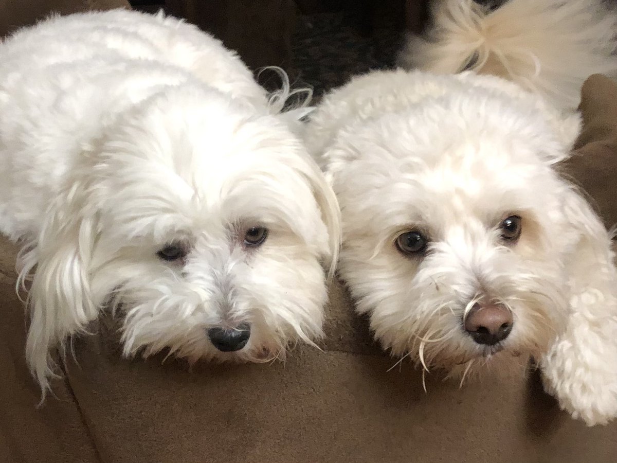 Look nonchalant and disinterested. We don’t want them to know we were conspiring again them. Nope, nothing to see here. Nothing at all . . .