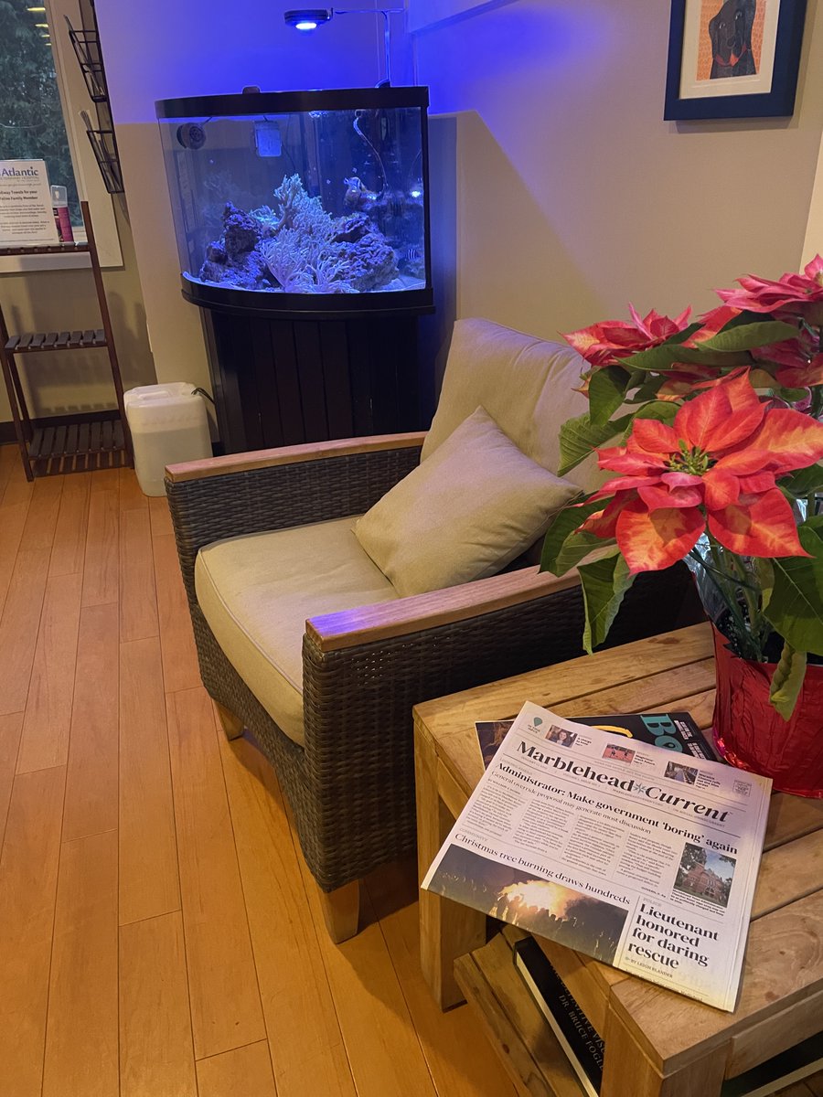 MHDcurrent's tweet photo. CURRENT IN THE WILD:
Spotted in Atlantic Vet! 🎉
#MarbleheadCurrent #PetsLoveTheCurrent #PawsAndClaws https://t.co/i2eqaD6nKs