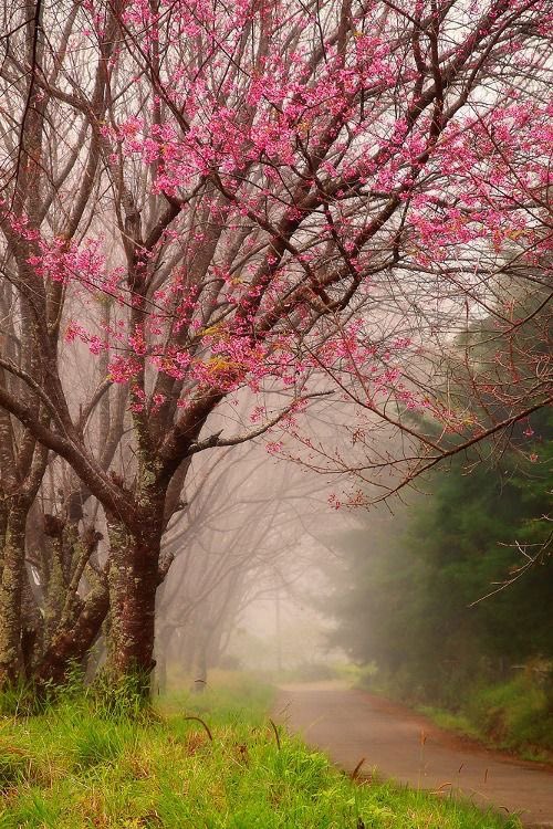 helena_mar19's tweet photo. Magic https://t.co/KYRSAREAEf