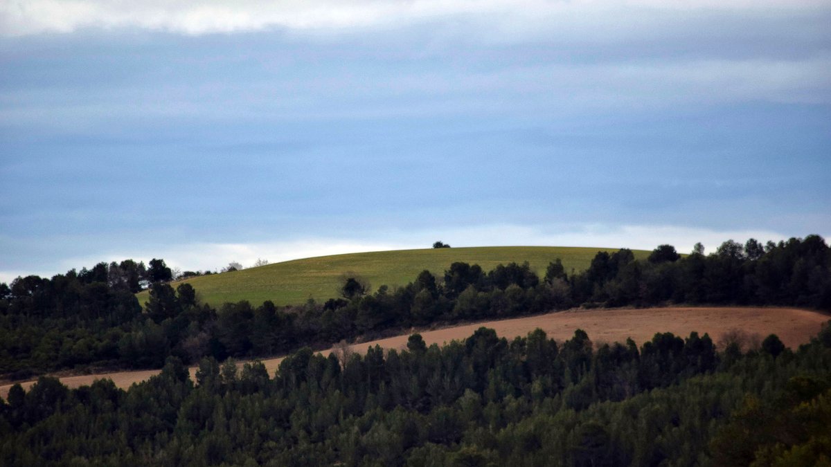 Passejant per #Albarells,  descobreix #Argençola a l'#hivern!
@bcnmoltmes @catexperience @descobrircat @Anoia_Turisme @catpaisatge @femturisme @ruralcat @casadeltio_cat @Micropobles @SomSegarra @SerradoraBoix @cfcatalunya @caminsnatura @PaisCatalunya 
ℹ️ turisme.argencola.cat/ca/city/albare…