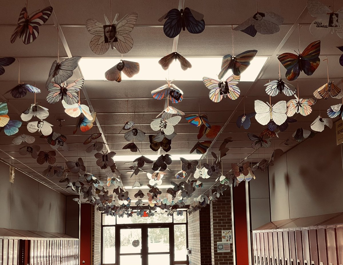 Meredith Fiveash tweet media