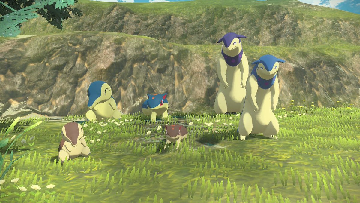 SH_Benny23's tweet photo. Feurigel Familie in normal und shiny in Pokémon Legenden Arceus
#pokemon
#PokemonLegendsArceus
#pokemonshiny #feurigel #cyndaquil #igelavar #quilava #hisui #tornupto #typhlosion https://t.co/gJfVsCq2Zg