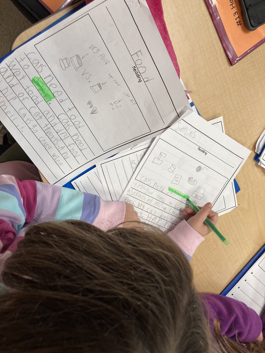 Kelly Stone tweet media