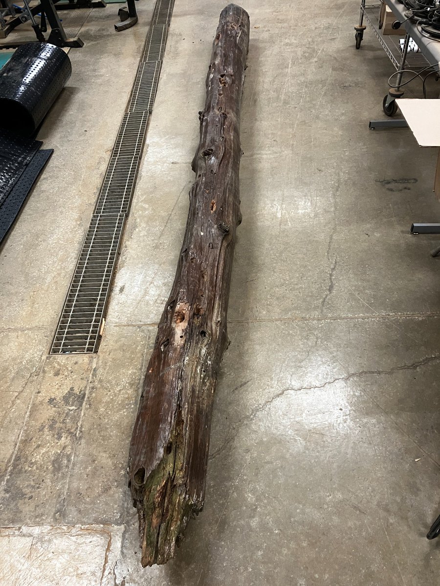 HSVUtilities's tweet image. Huntsville Utilities operates the oldest #water system west of the Appalachian Mountains, &amp;amp; 2023 is its bicentennial! The 1st system pipes were hollowed out cedar logs, &amp;amp; we recently acquired this 14-foot one.

You can find others in our lobby.   

#history #watersystems