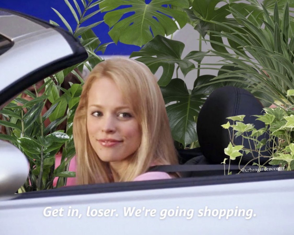 On weekends we go plant shopping.