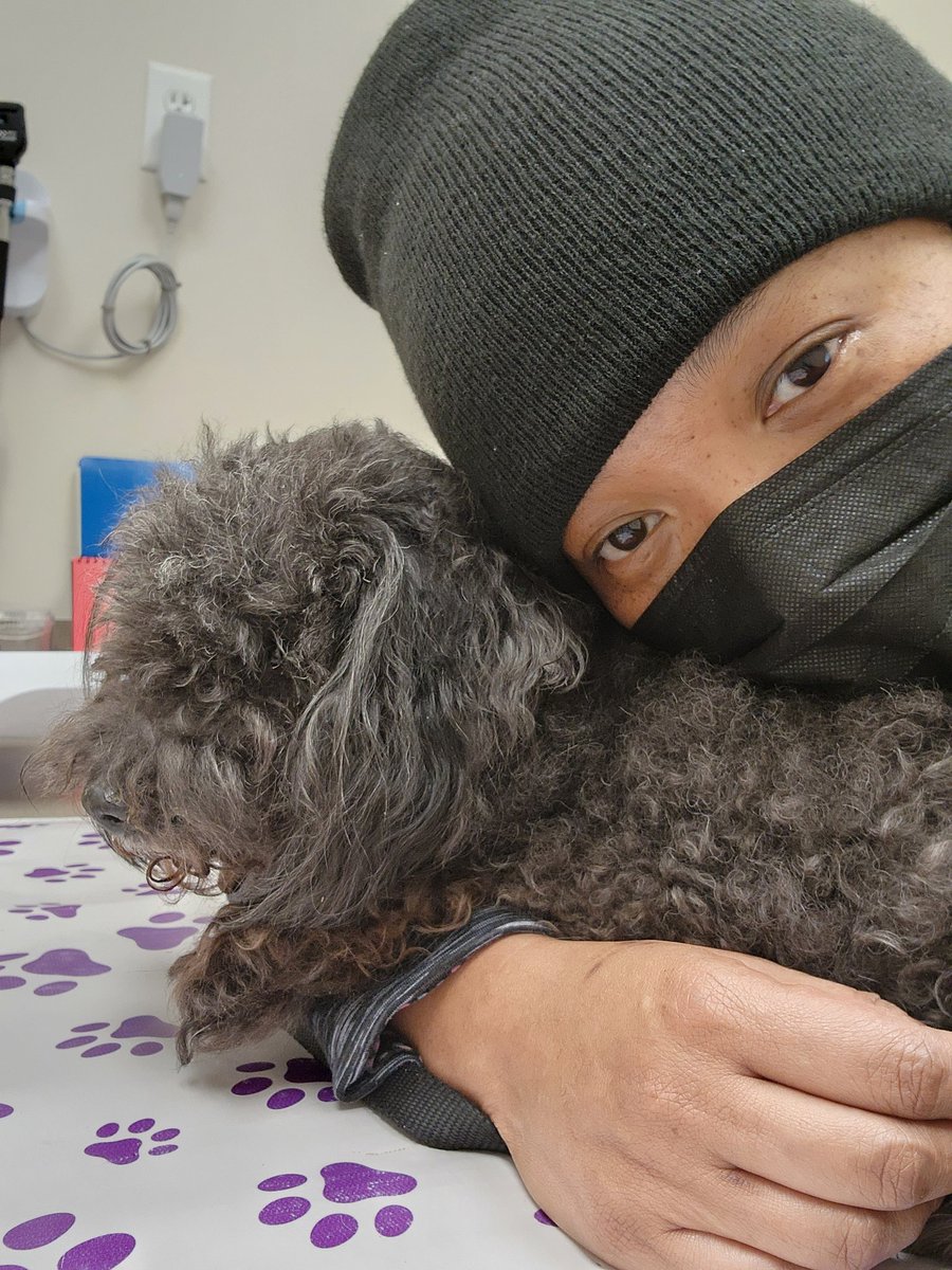 minnotis's tweet photo. My baby Riley has Lymphoma 😭😭😭 💔💔💔 https://t.co/FbITWjYNX0