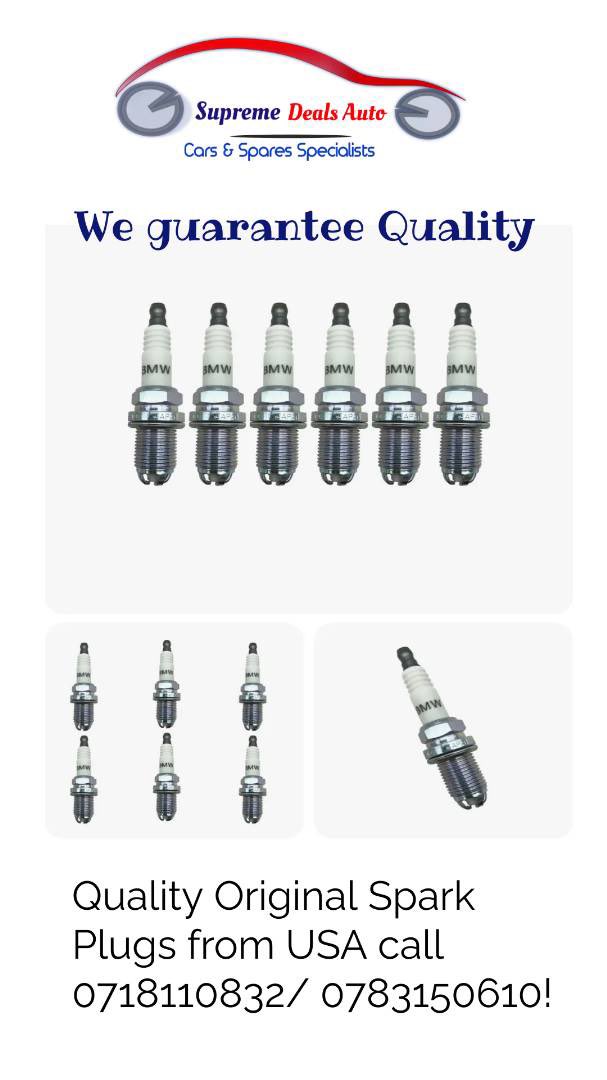 SupremeDealsAut's tweet image. Quality! @petpiki @NeverlankC