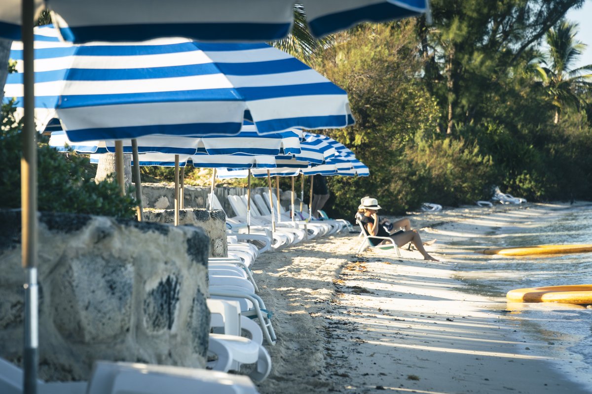 studioGRACIOUS's tweet photo. ABC #Autumn #Bermuda #Camera - #favefour #travel #photography #graciouspix #SonyAlpha #beach #sunset #sunshine ☀️ #snail 🐌 https://t.co/et4VQWIM02