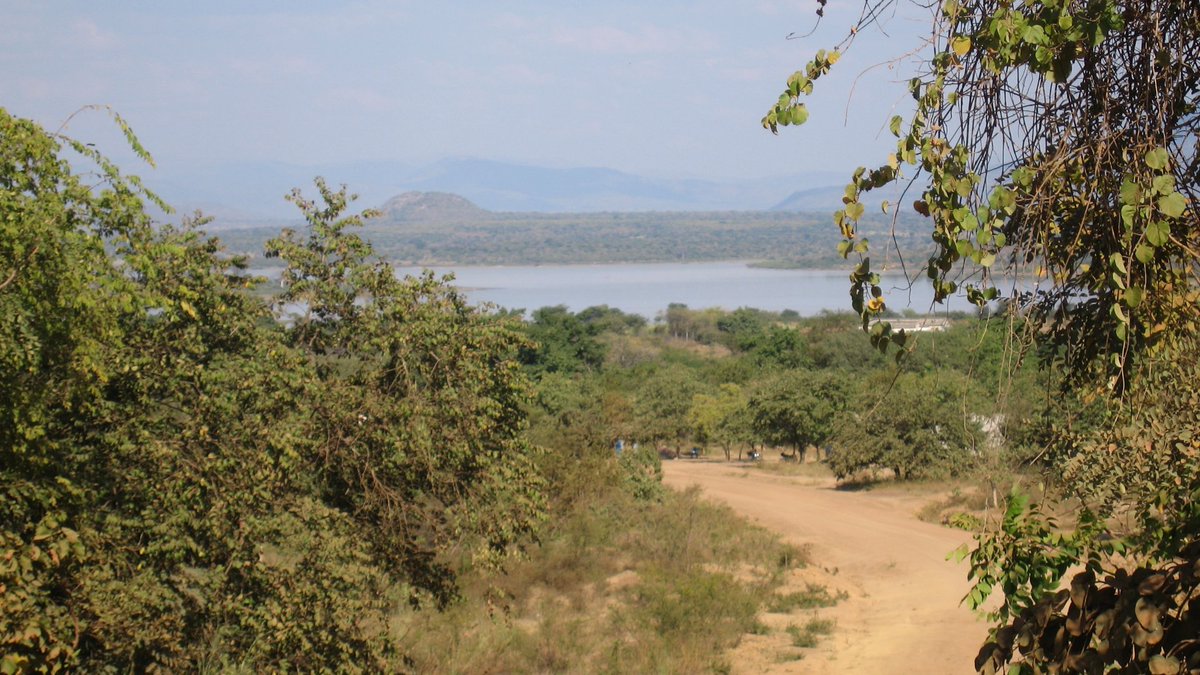 Perché molte/i continuano a studiare #architettura per poi andare a lavorare nel settore della #pianificazione?  Non è più logico studiare pianificazione? Così si riceve una formazione più adeguata, più completa e molto meno settoriale e parziale come quella in architettura.