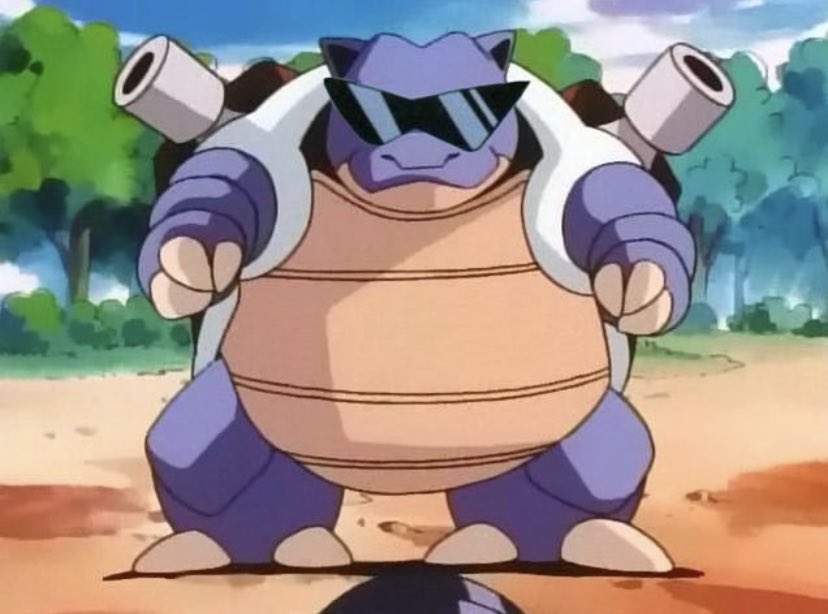 PokemonGems's tweet photo. he’s such a cool turtle https://t.co/IzJVyZWmgf