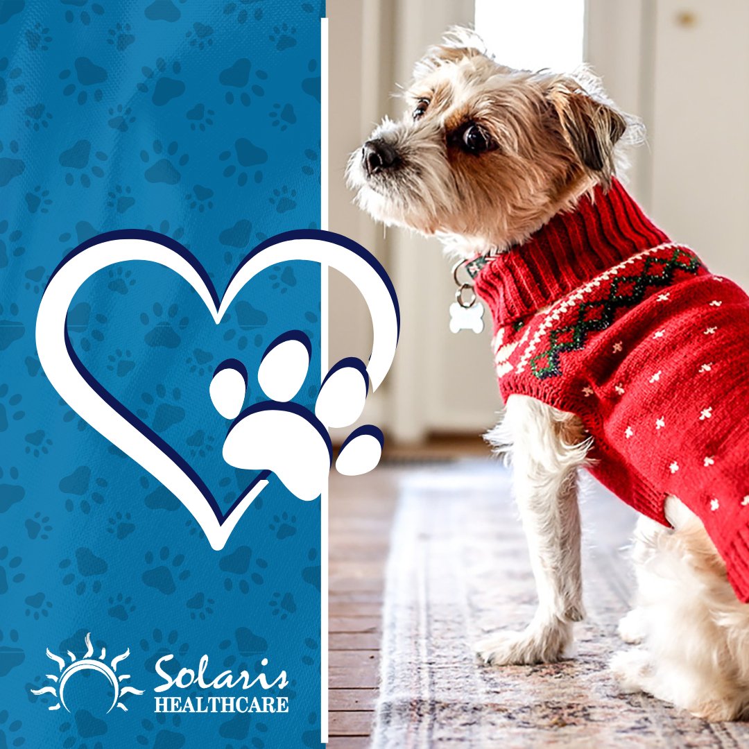 SolarisImperial's tweet photo. Who doesn’t love a cute pup in a winter sweater? Do you have a favorite dress up outfit for your furry friend? Comment below! 😍 

#NationalDressUpYourPetDay https://t.co/eQOFZg3jAt