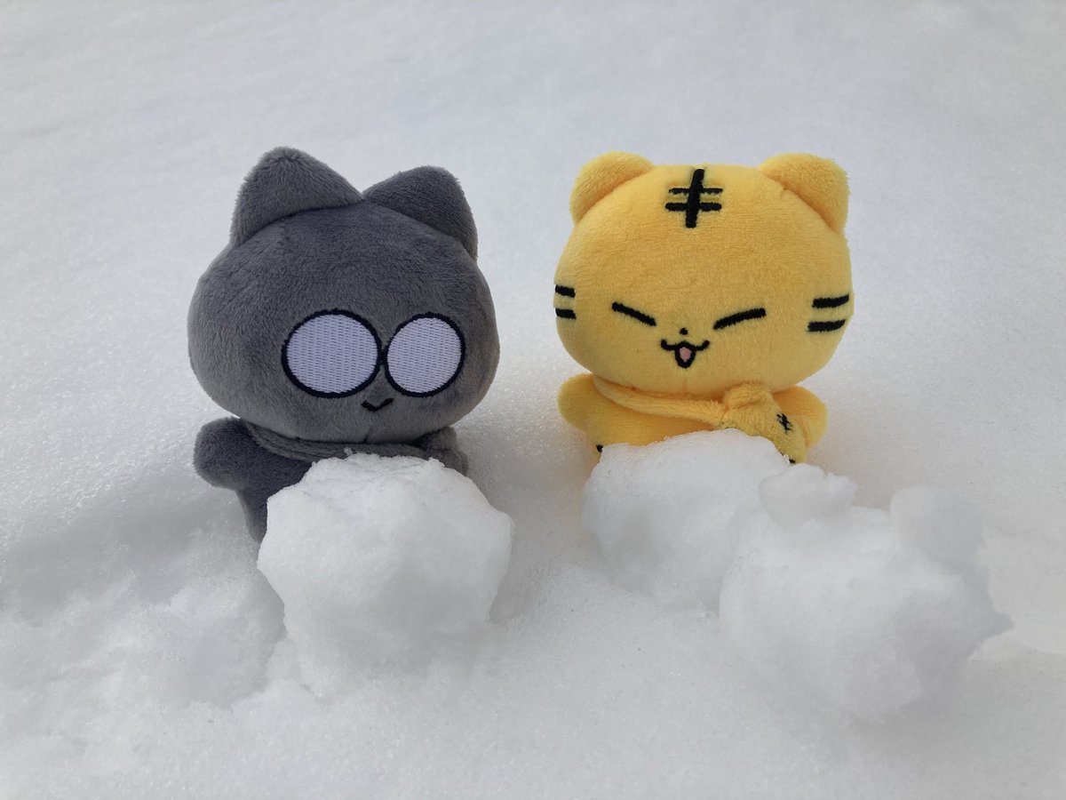 bb87top89's tweet photo. SEVENTEEN ホシ　ウォヌ@hunwonnyans 様　一般オーダー　日本グループオーダーになります。
締め切り　１月２４日
お申込み、詳細はフォームからよろしくお願いします。https://t.co/WbrZf9wBgr https://t.co/oBBI1i1C3e