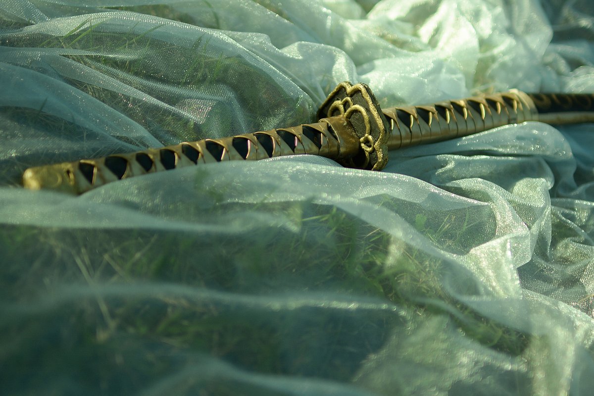 はるかす❀ tweet media