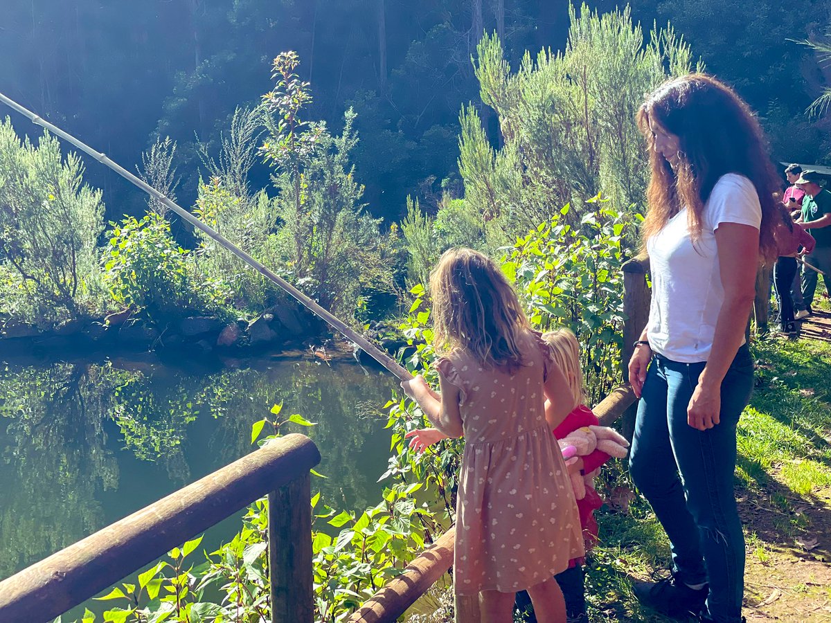 This is my wife’s account about #selfdirectedlearning / #unschooling project in #madeira - stay up to date with all that’s happening @a_place_to_be ❤️ #Bitcoin @FREEMadeiraOrg @PrinceySOV @andreloja