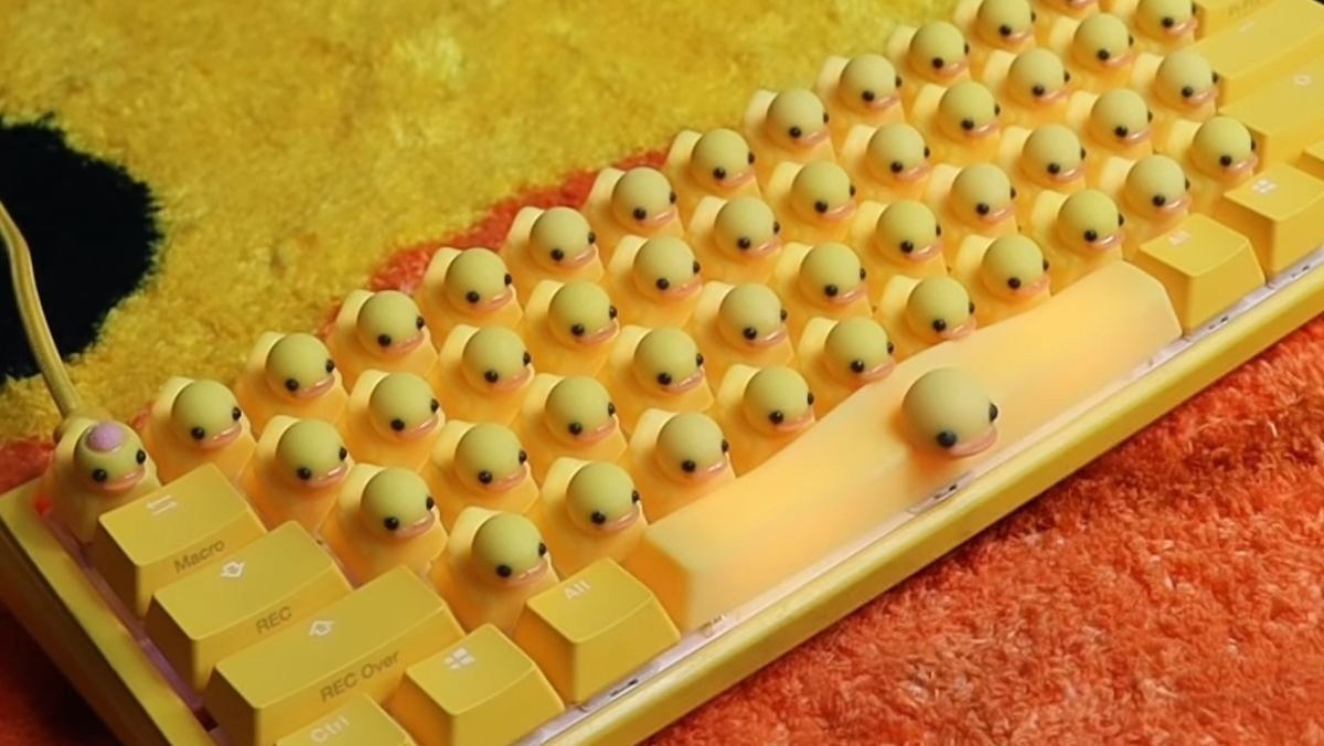 rubber-duckie-keyboard-what-your-using-right-now-https-t-co