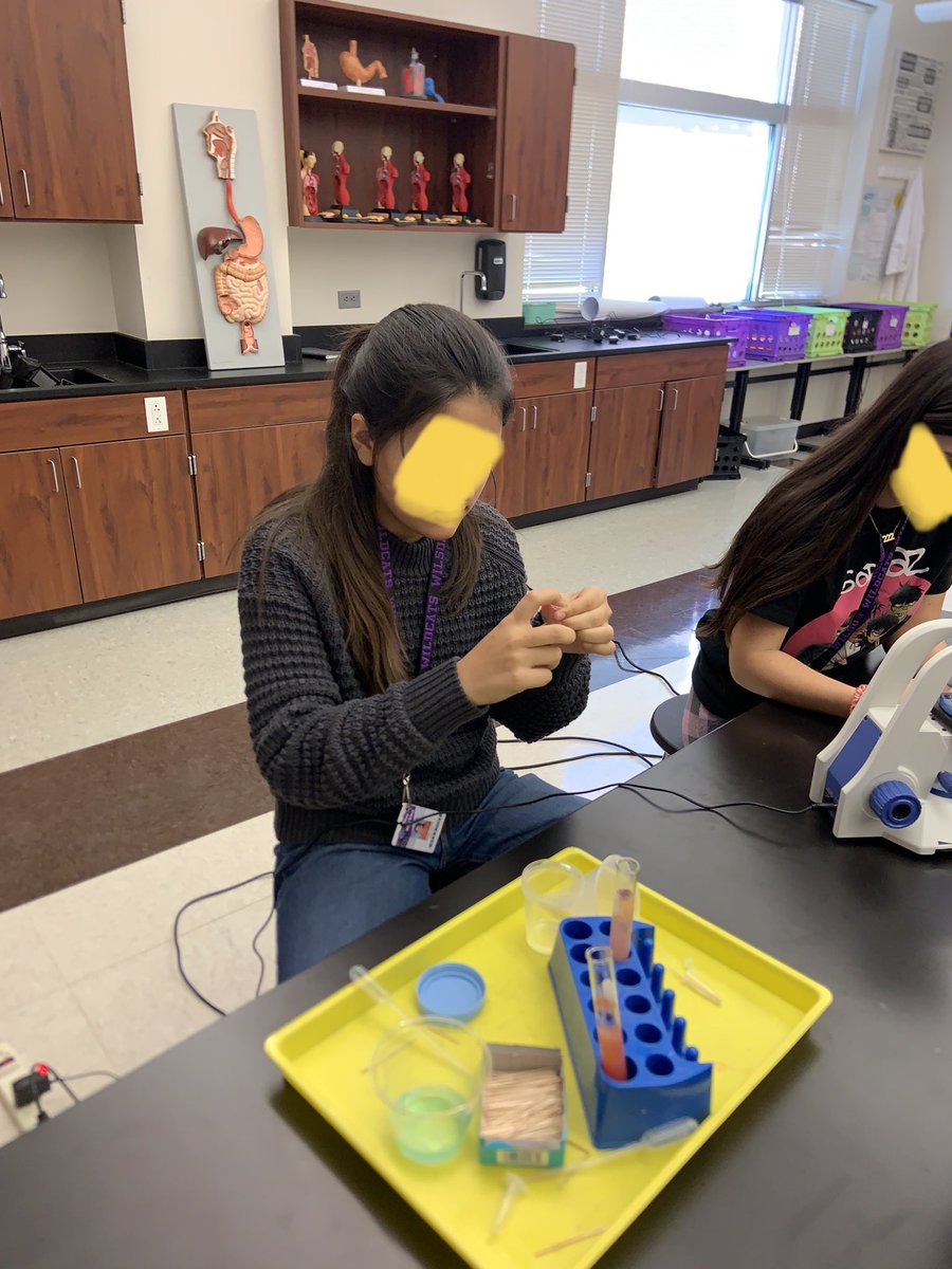 Cheryl Greiner tweet media