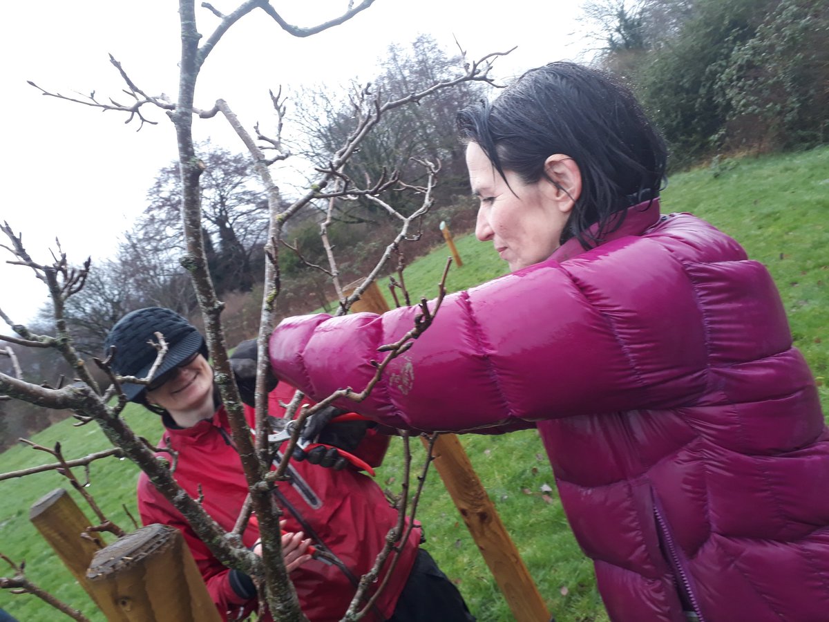 fruitnutvillage's tweet photo. Planting new fruit trees in #BroadMeadowOrchard #TenAcres #Stirchley today...and pruning the older ones. #cherrycot #plumcot #KingCoffeeApple. #PlantATreeIn23 https://t.co/DSNypgz5C2