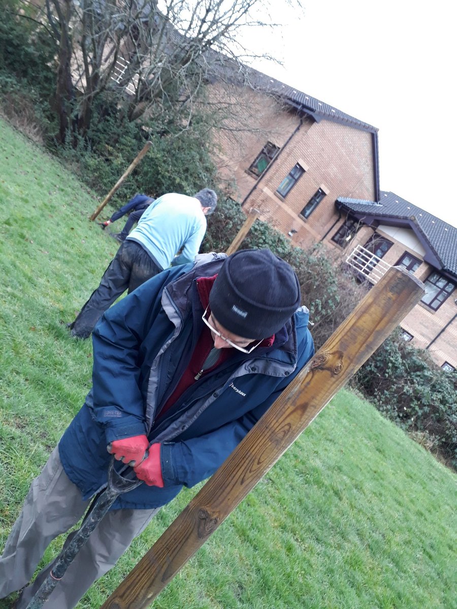 fruitnutvillage's tweet photo. Planting new fruit trees in #BroadMeadowOrchard #TenAcres #Stirchley today...and pruning the older ones. #cherrycot #plumcot #KingCoffeeApple. #PlantATreeIn23 https://t.co/DSNypgz5C2