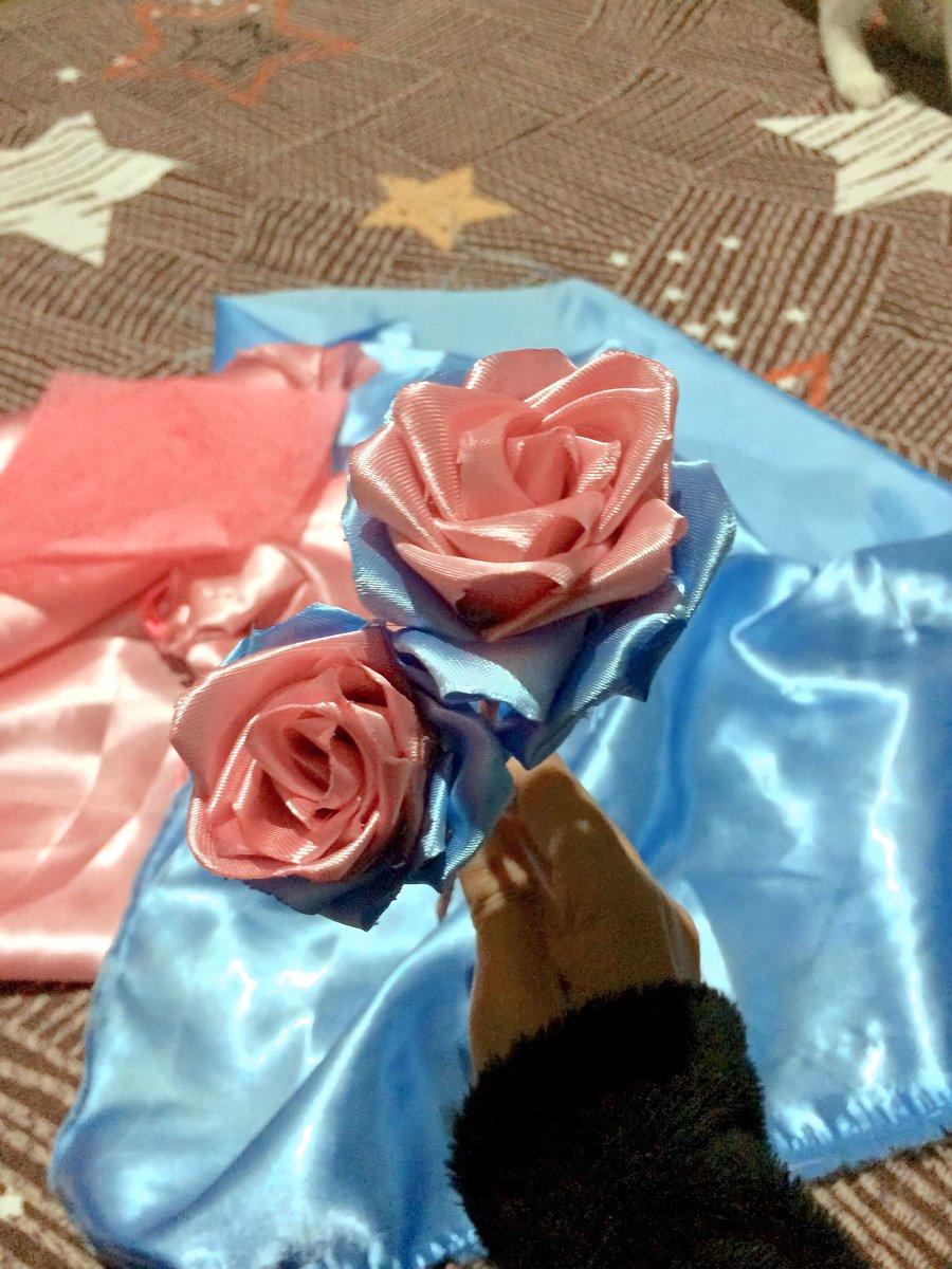 kydlin's tweet photo. planning to make a bouquet with my fav color :^ https://t.co/Xa1fWfxREZ