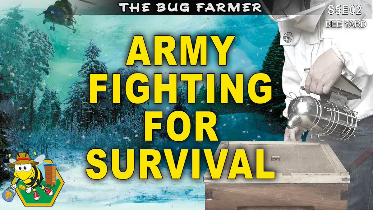Army Fighting For Winter Survival | ...
 
#Apiary #BackyardBeekeeping #BackyardChickens #BackyardFarming
 
allforgardening.com/397245/army-fi…