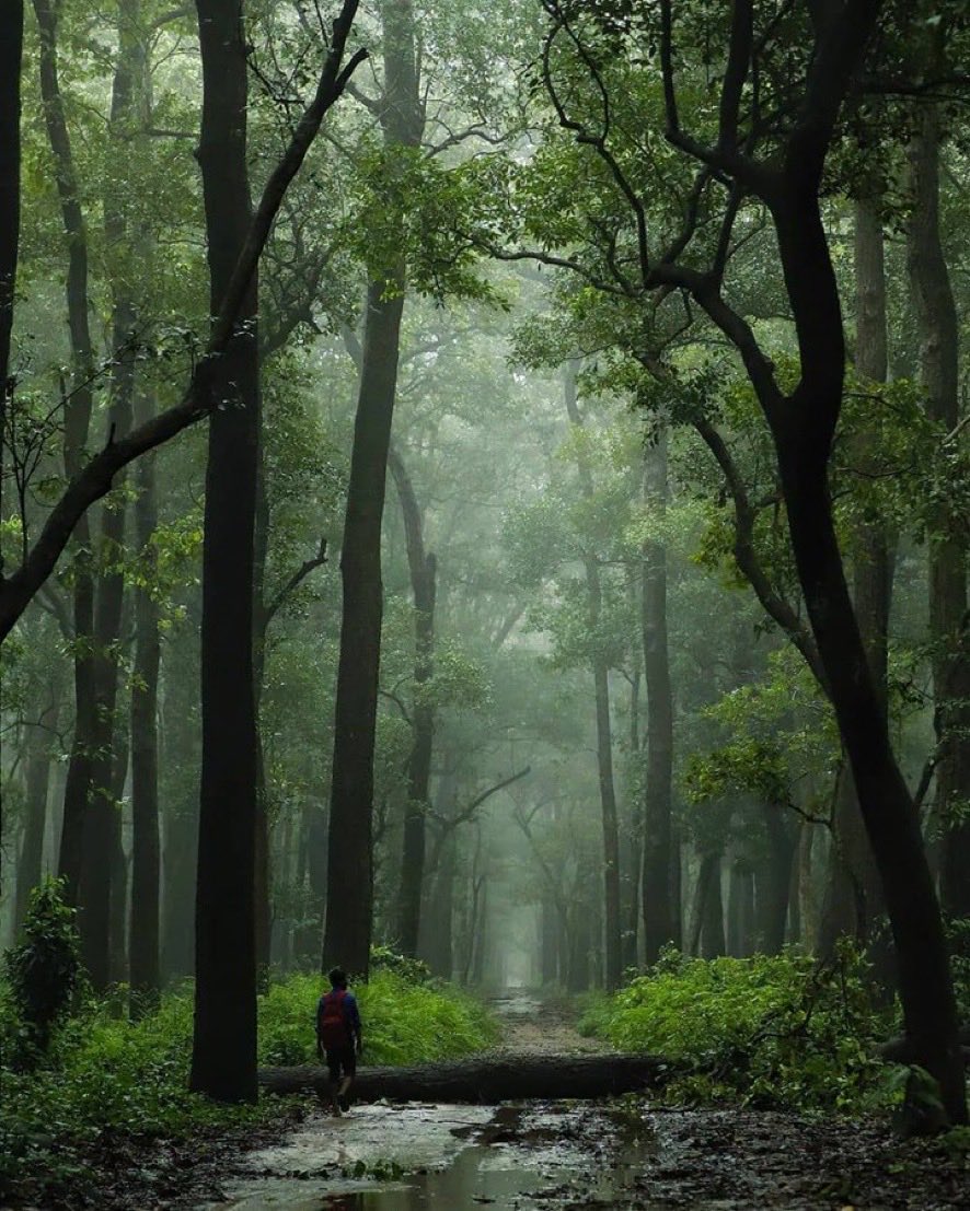 In every walk with nature one receives far more than he seeks.
~John Muir