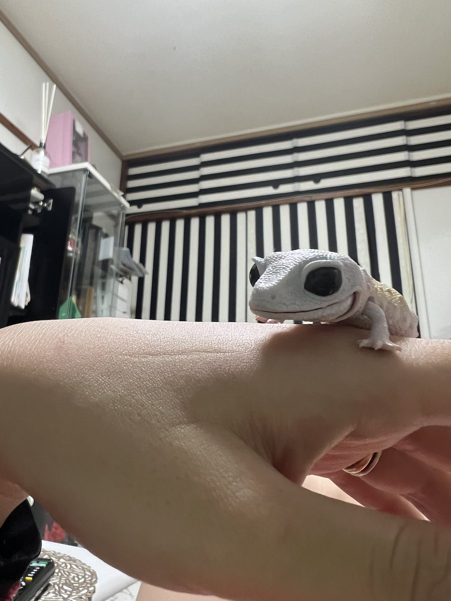 子供ら寝てんのにこんな事してる自分

鬱病か？笑えねえ
タバコの本数増えるばかり