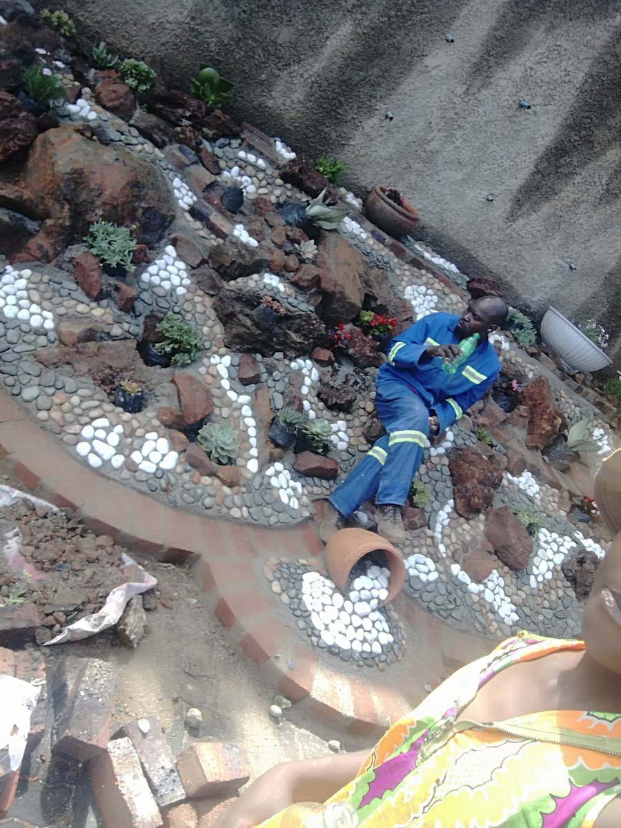 BlessingMeya5's tweet photo. Sayonara landscaping services l do landscaping garden designing garden mantainance,0773199249 https://t.co/igii6iuUeV