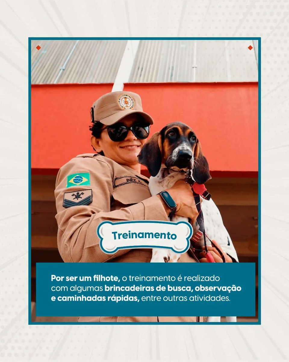 Governo do Pará tweet media