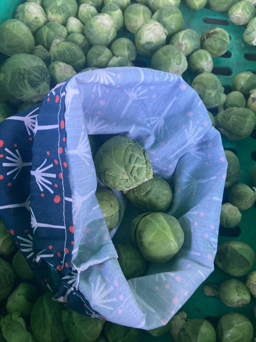 Sprouts aren’t just for Christmas 😀 #producebags #plasticfree #loosefruitandveg #sustainableliving