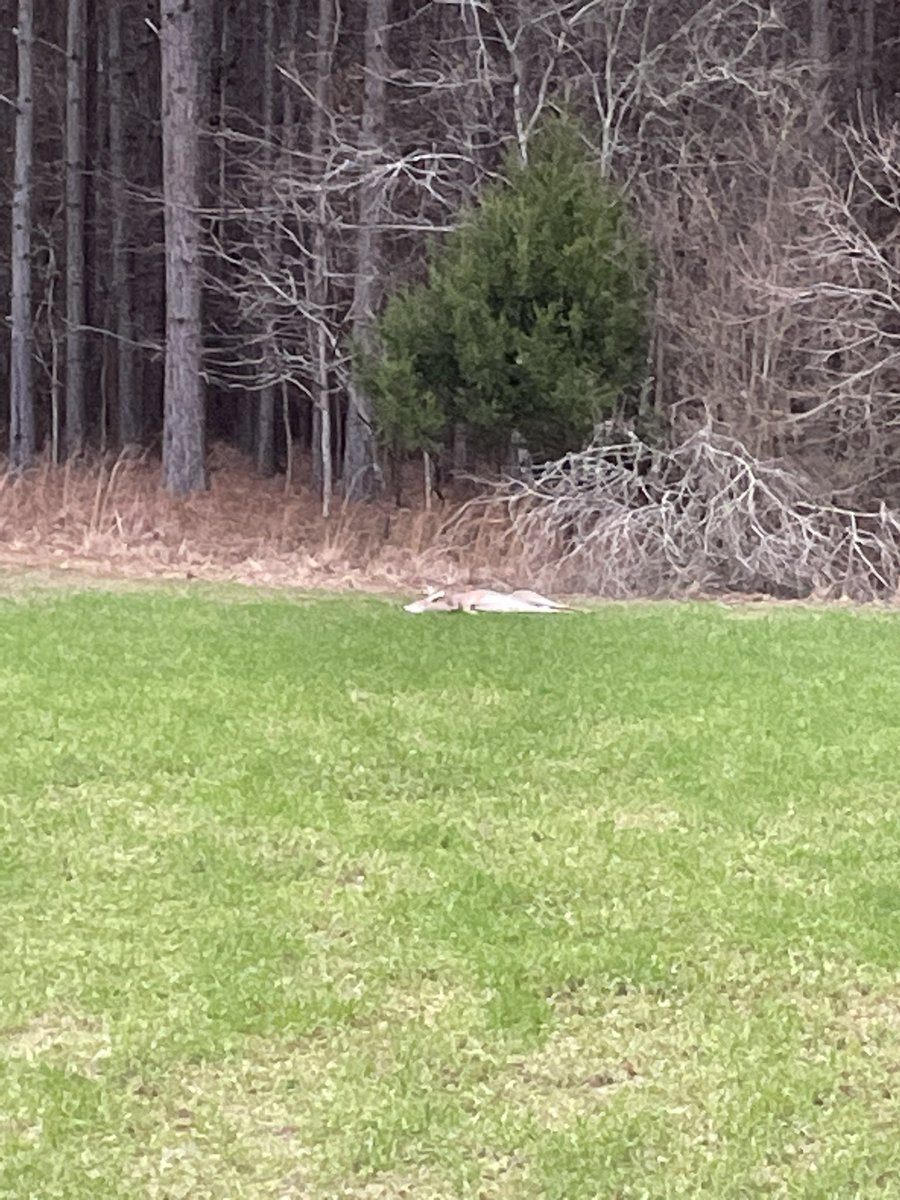 <a href="/CurtisWilmuth/">Curtis Wilmuth</a> I got a little buck myself.
