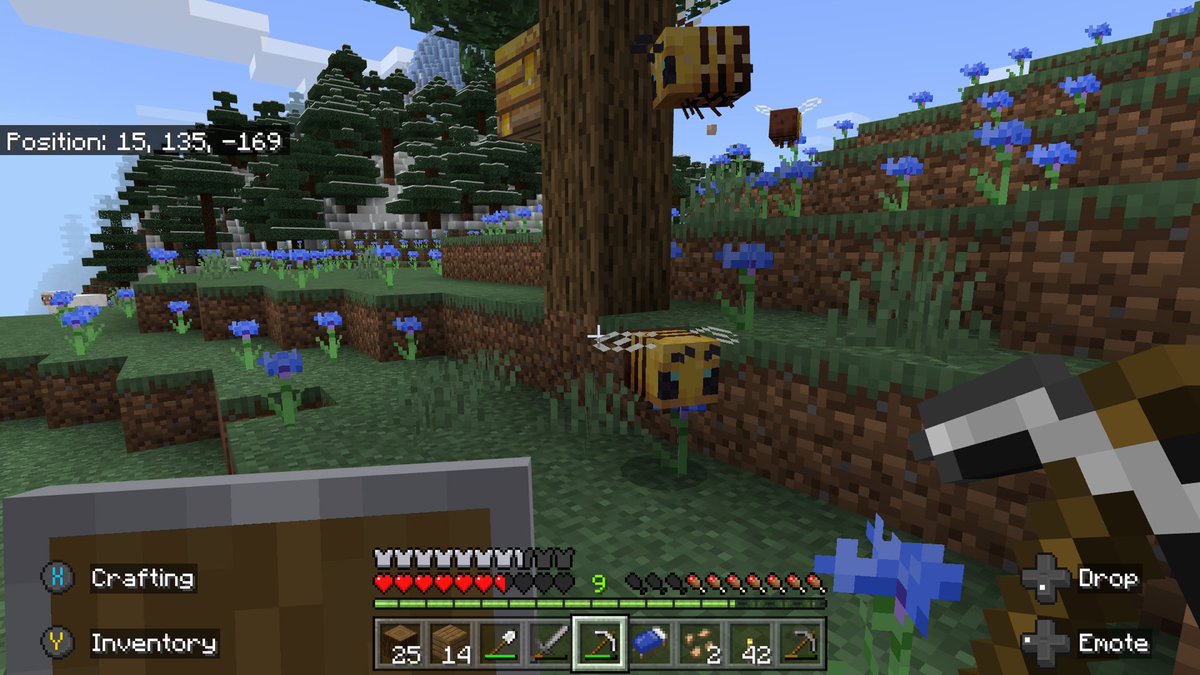 SarahTooSwift's tweet photo. I found the bees!
#minecraft #minecraftbees #XboxShare https://t.co/6tT2xVN7Af