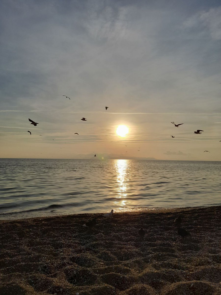 Andromache Tziamou tweet media