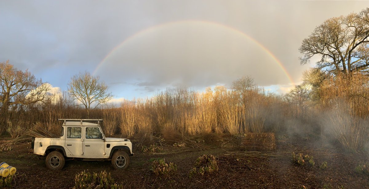 copseworker's tweet photo. A thread on sustainable woodland management. Specifically my experience of working Hazel Coppice in Hampshire,England. https://t.co/tmUKeWOsVk