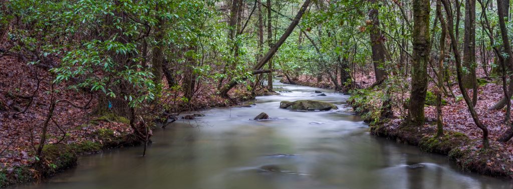Creekside, just before the storm. A long 25-second exposure to smooth out the water. #creek #water #nature #longexposure #hasselbladx1dii #hasselblad #panoramic #panorama #cumberlandplateau #Tennessee