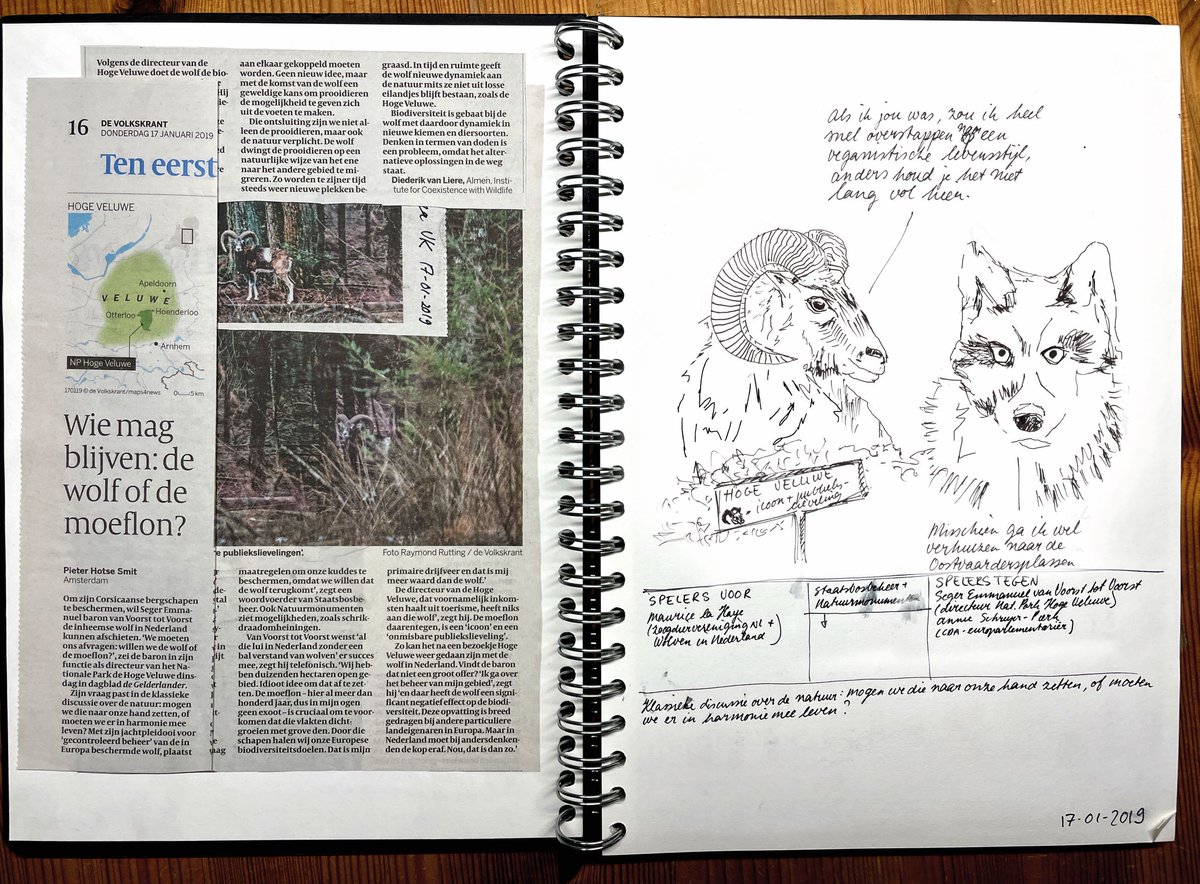 DoortjeVanDijk's tweet photo. Begin 2019 vroeg Volkskrant-journalist Pieter Hotse Smit zich af wie er mag blijven: de wolf of de moeflon? De snelle cartoon die ik destijds tekende, blijkt deze week nog steeds actueel: https://t.co/AAnedyvjaw #volkskrant https://t.co/qPywN7lNIP
