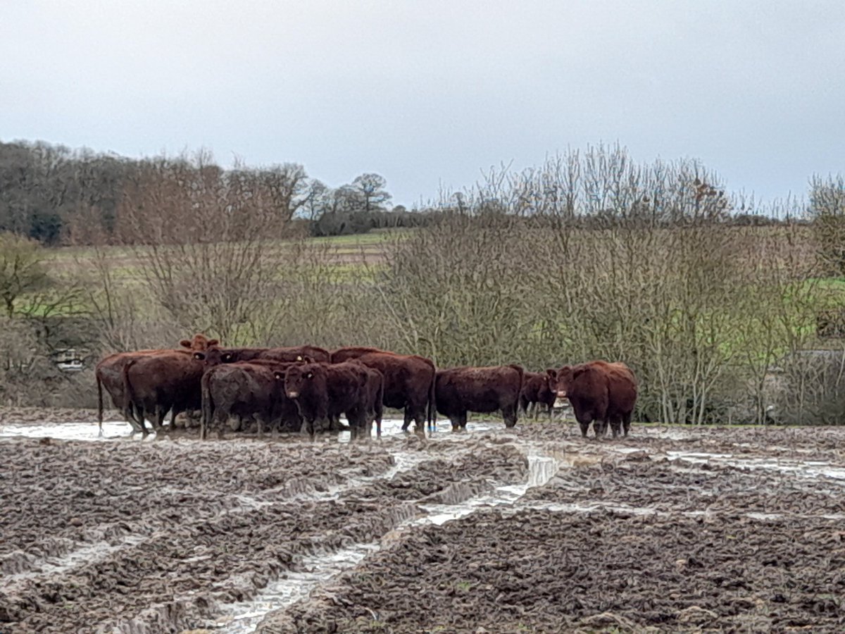 This isn't good practice on any level.
Why do it?
It only takes a minority like this example who don't give a toss to make life a lot, lot harder for those that do take more pride and professionalism in what they do.