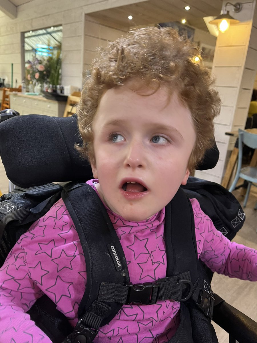 marjorie_and_me's tweet photo. We went out for cake and C ate all this ๐ฐ
Thank you @frostsgardens for your delicious selection of cakes. We will be back!!
#PMLD #CakeRules #Freelance #PersonCentredSupport #Inclusion #SmallBusinessOwner #SEND #LearningDisability #FrostsGardenCentre #Willington #Cake https://t.co/fNZ2UzXJPY