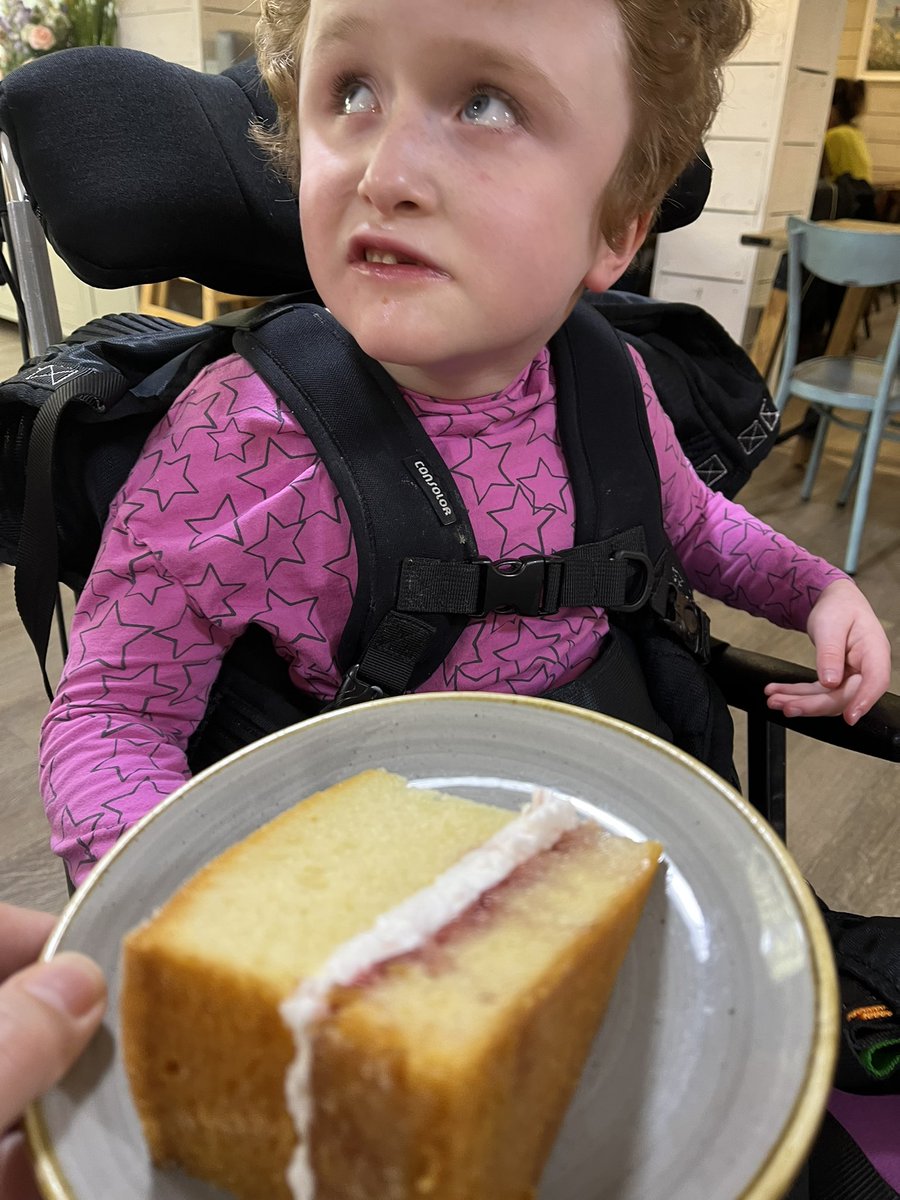 marjorie_and_me's tweet photo. We went out for cake and C ate all this ๐ฐ
Thank you @frostsgardens for your delicious selection of cakes. We will be back!!
#PMLD #CakeRules #Freelance #PersonCentredSupport #Inclusion #SmallBusinessOwner #SEND #LearningDisability #FrostsGardenCentre #Willington #Cake https://t.co/fNZ2UzXJPY