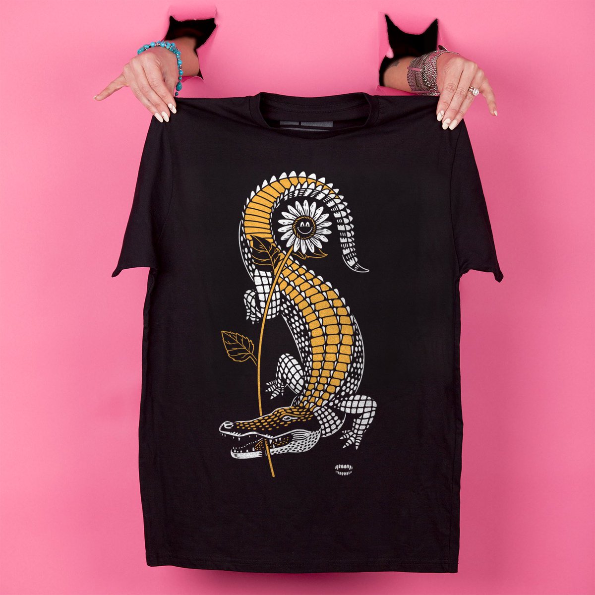 Joshua Ariza tweet media