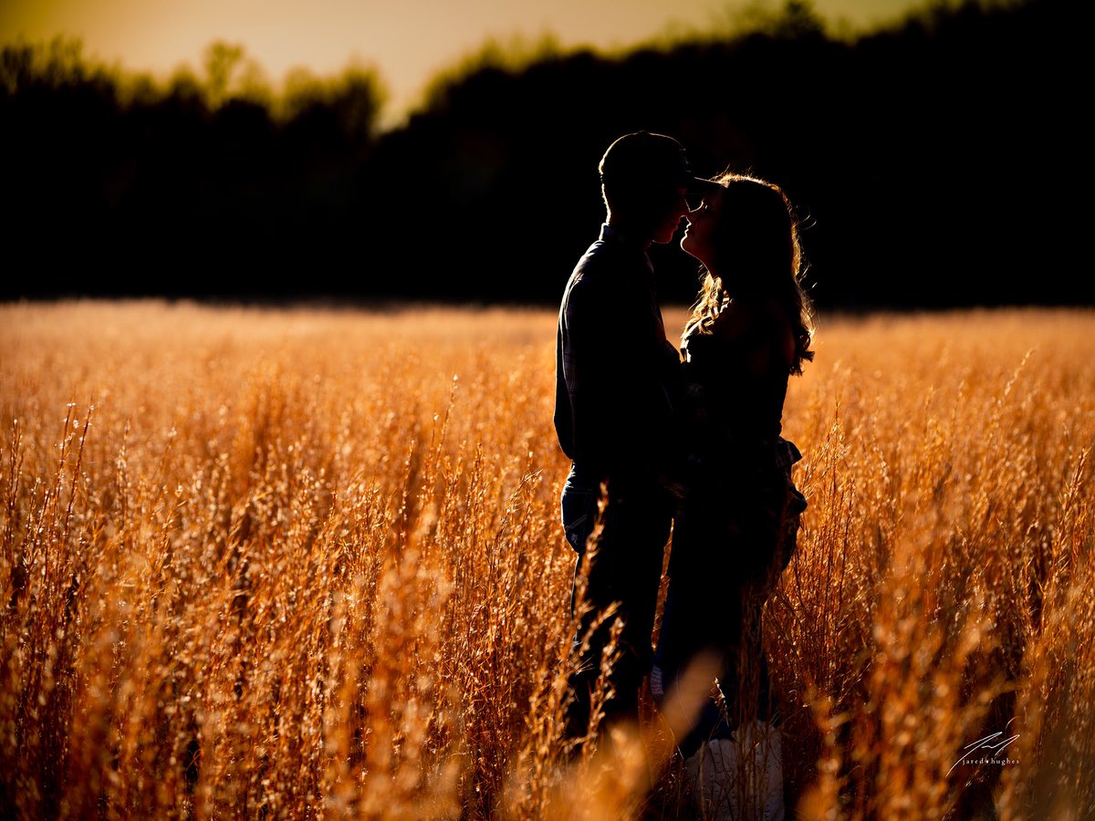 Jared Hughes tweet media